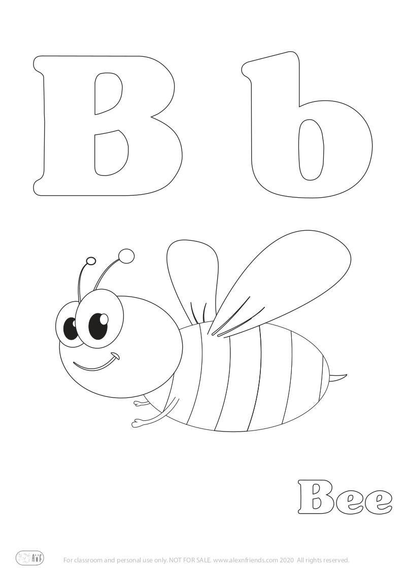 Letter B