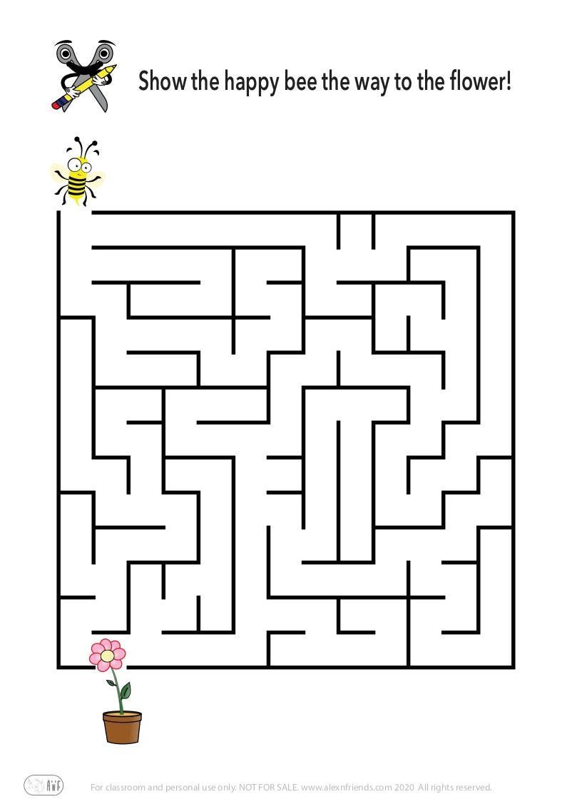 Maze 6