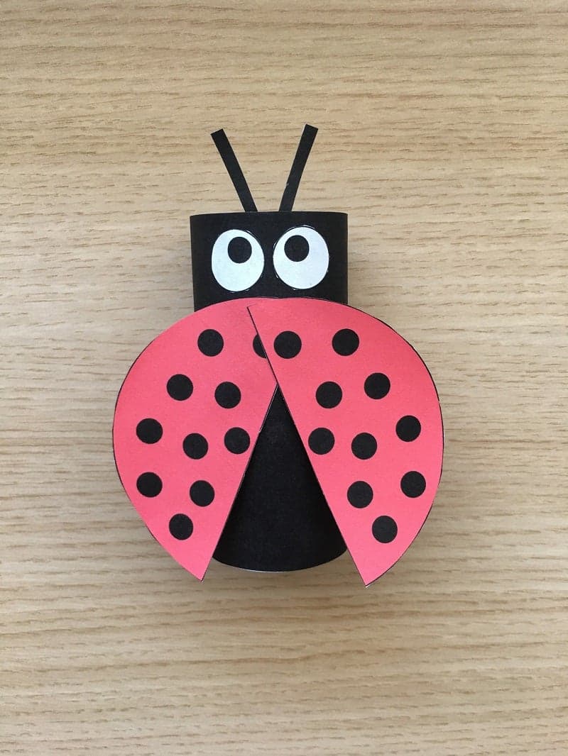 Ladybug craft for kids