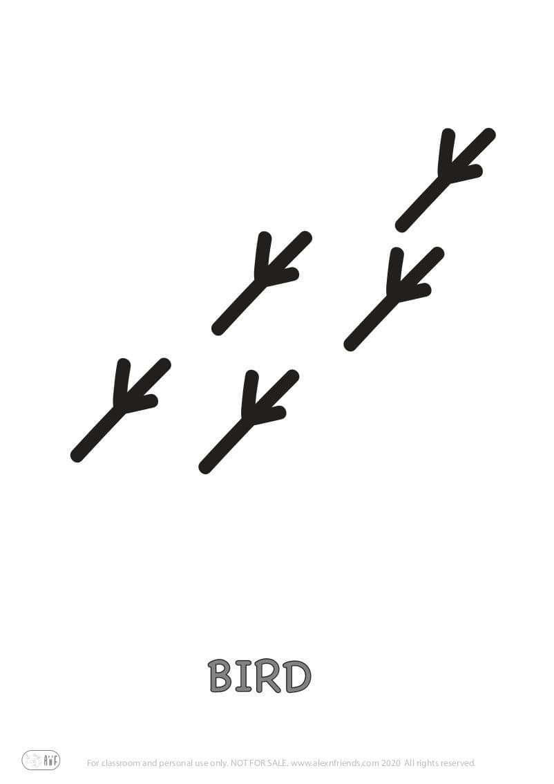 Educational activity for preschoolers with free printables. Playing with animal paw prints. Bird.