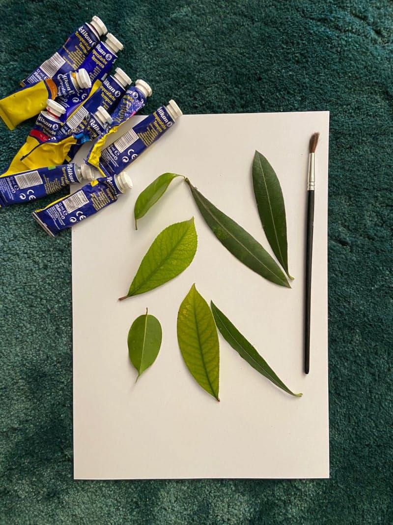 Crafts for kids. Educational material. Leaf painting. Paper. Leaves. Colors.