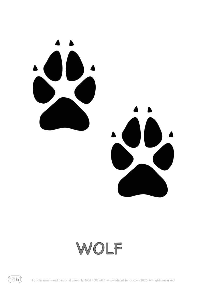 Educational activity for preschoolers with free printables. Playing with animal paw prints. Wolf.