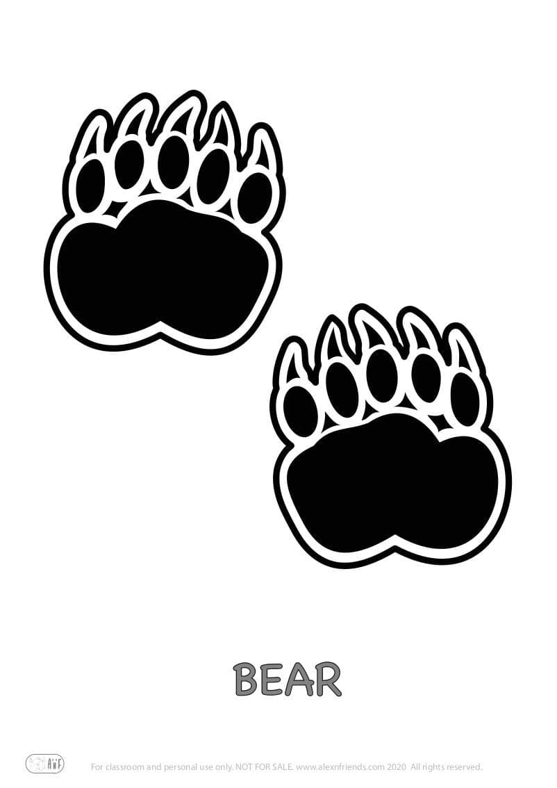 Educational activity for preschoolers with free printables. Playing with animal paw prints. Bear.