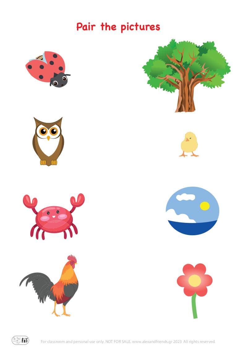 Matching exercise for kids. Educational material. Free printable. Tree. Owl. Rooster. Flower. Crab. Ladybug chick. Sea.