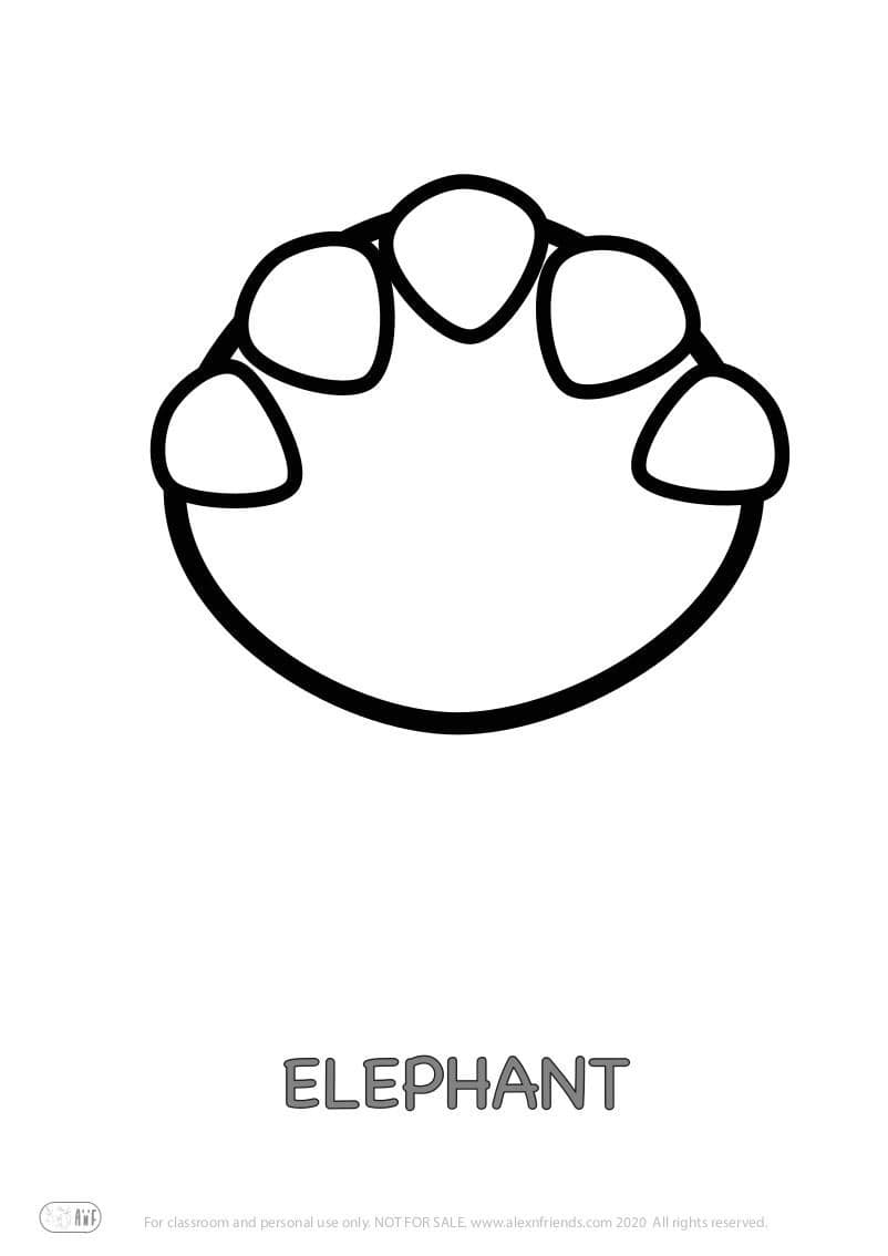 Educational activity for preschoolers with free printables. Playing with animal paw prints. Elephant.