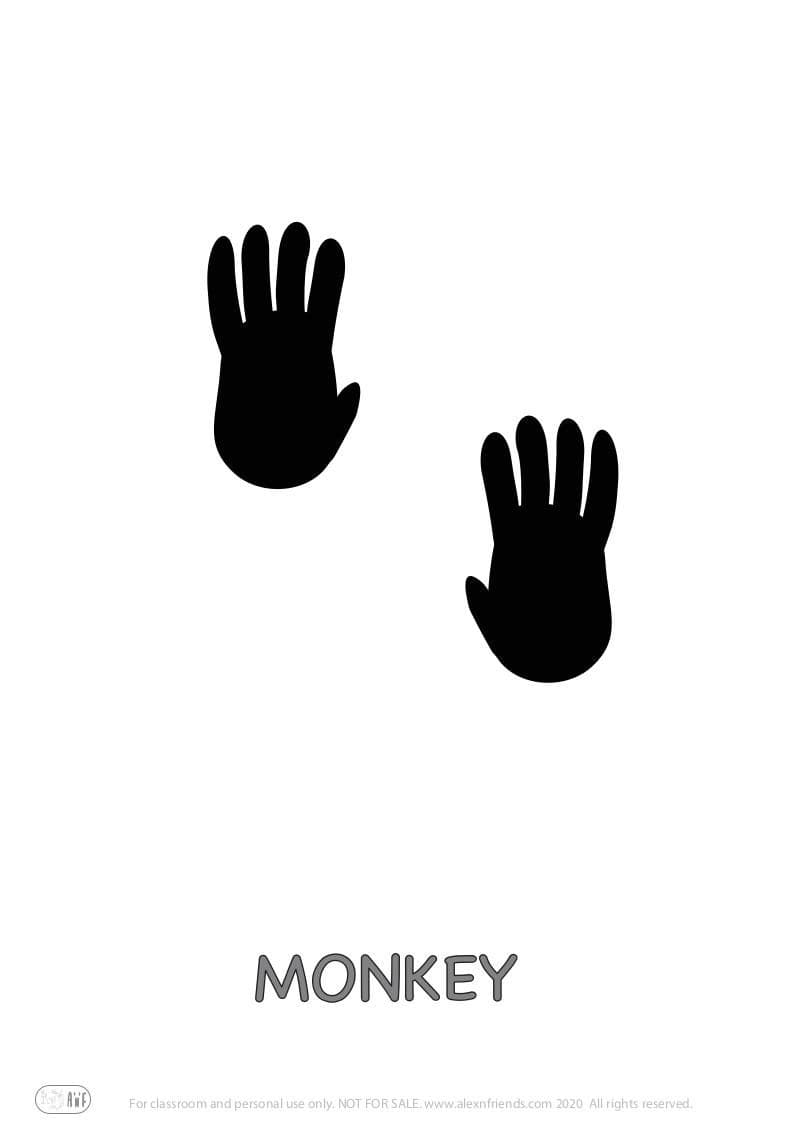 Educational activity for preschoolers with free printables. Playing with animal paw prints. Monkey.