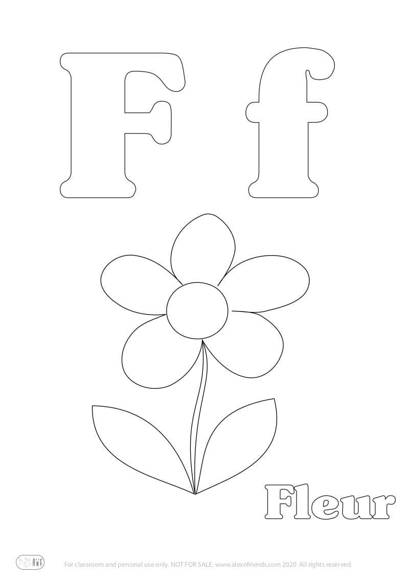Learning english alphabet for kids. Free printable coloring page with letter F f and a flower